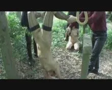 Screenshot 5 from Taktstock der Leidenschaft