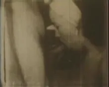 Screenshot 4 from Crazy Cat House