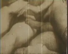 Screenshot 9 from Crazy Cat House
