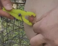 Screenshot 2 from Bizarre 1