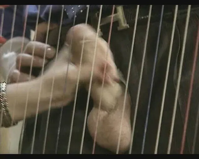 Screenshot 2 from German Mature/MILF Brunette Anal Threesome/Foursome Handjob