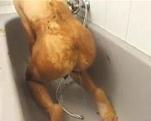 Screenshot 11 from Shitmaster 79