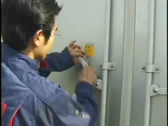 Japanese Woman JAV Other