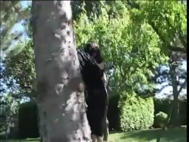 European Woman Blowjob Hardcore 3p/4p Out Door Sex