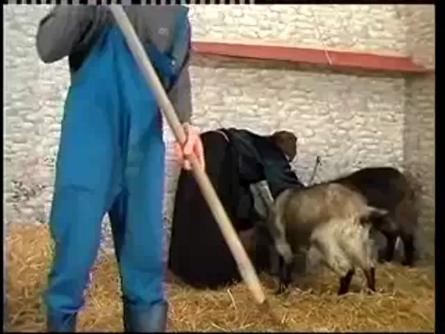 Mature European Blowjob Hardcore GILF Granny