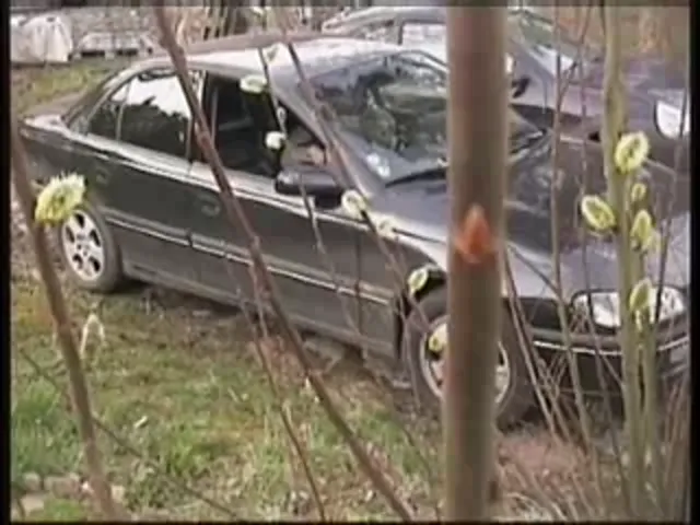 Hidden Cam Out Door Sex