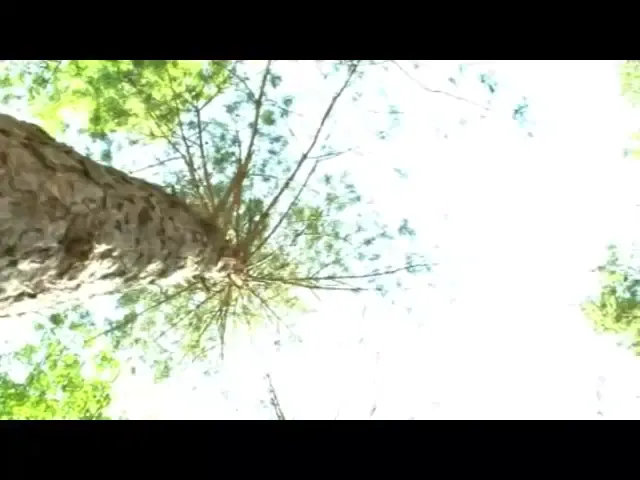 Mature European Blowjob Hardcore Daddy GILF