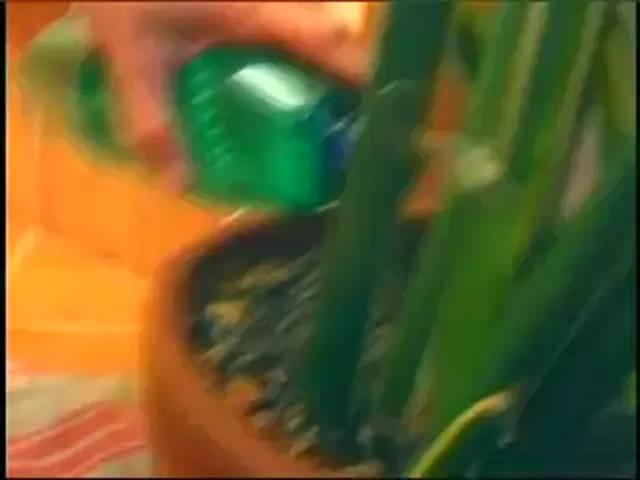 Barely Legal European Blowjob Hardcore Daddy Old and Young