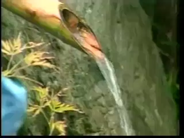 Asian Woman Blowjob JAV Out Door Sex