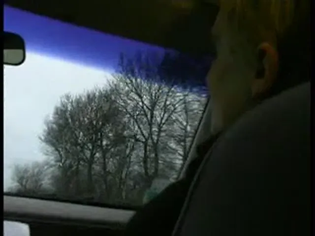 European Woman Blowjob Hardcore 3p/4p Daddy