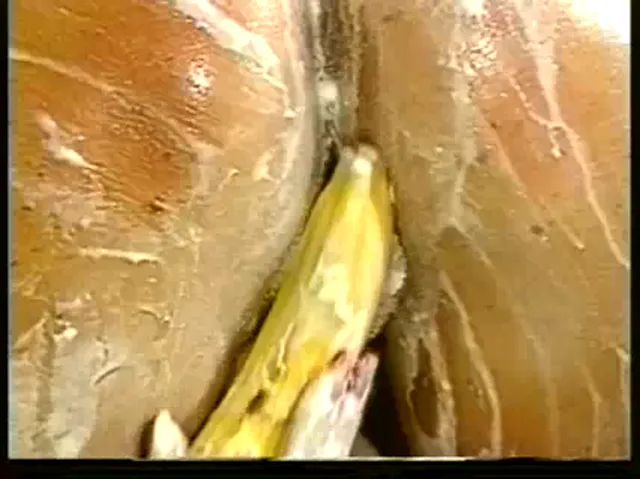 German Woman Busty Masturbation