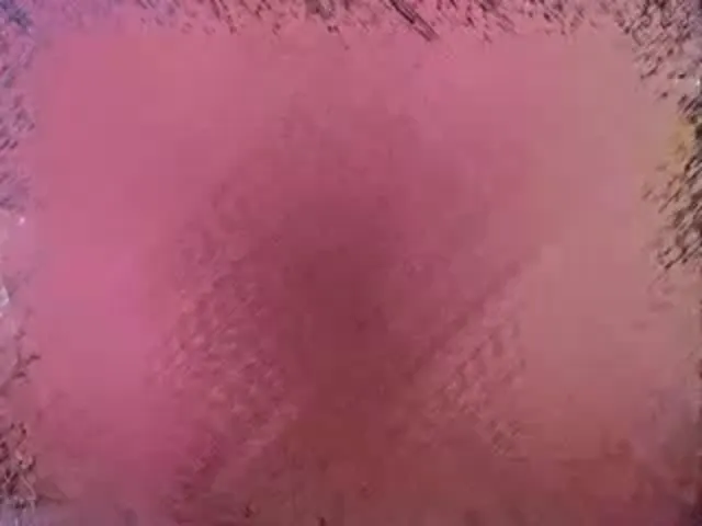 European Woman Blowjob Hardcore 3p/4p Threesome/Foursome