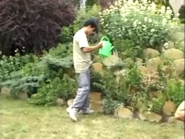 European Woman Out Door Sex Public Sex