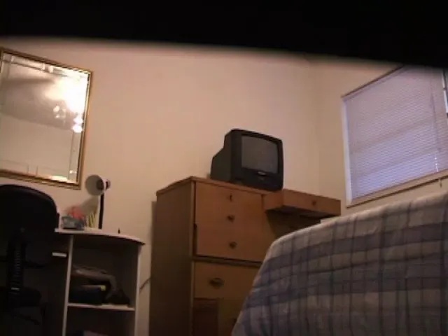 Hidden Cam Other Scene
