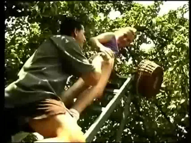 Barely Legal European Blowjob Hardcore Out Door Sex Publi...