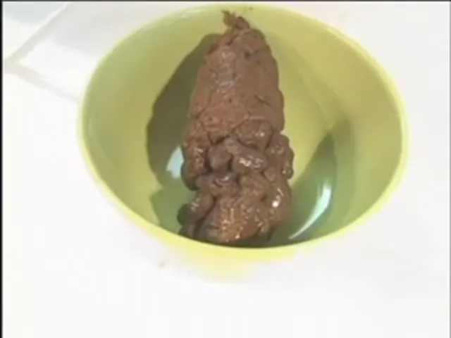 Shitlover Scene