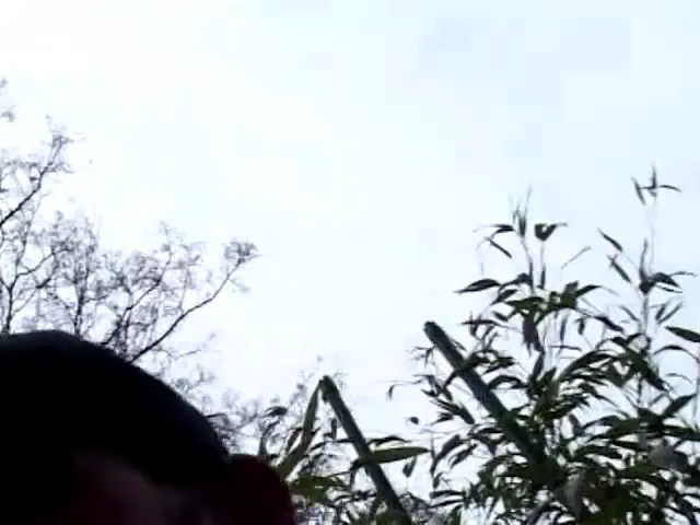 European Woman Anal Blowjob Anal Sex Latex