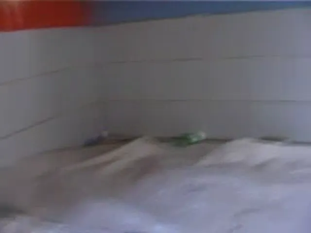 Shitlover Scene