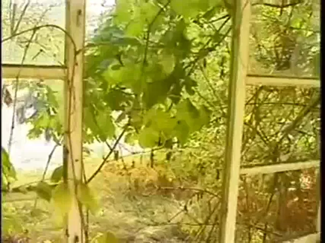 Gay Scene