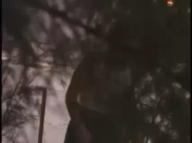 Gay Scene