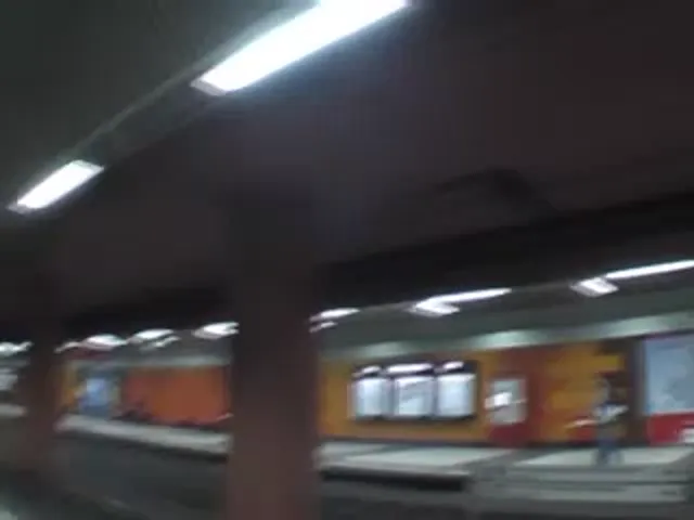 European Woman Blowjob Hardcore P.O.V.