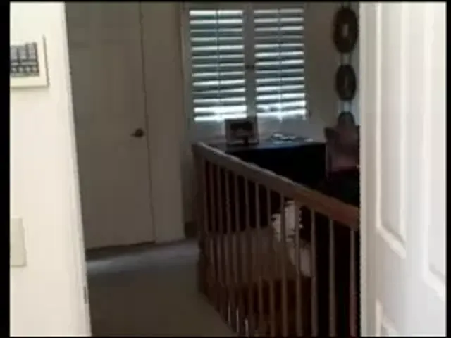 American Woman Anal Blowjob Anal Sex