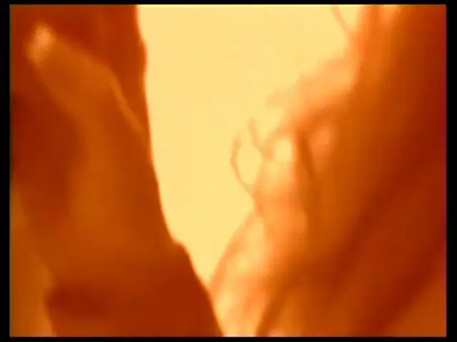 European Woman Busty Blowjob Hardcore Pussy Play