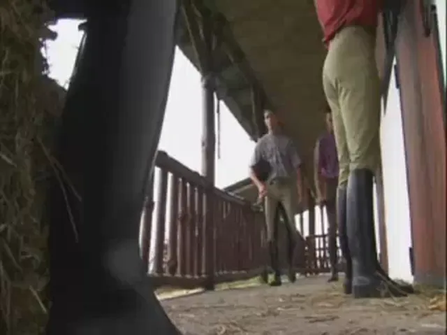 Gay Scene