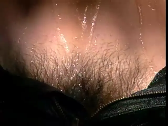 Gay Scene