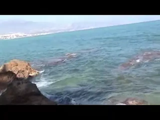 European Woman Blowjob Hardcore Out Door Sex Public Sex