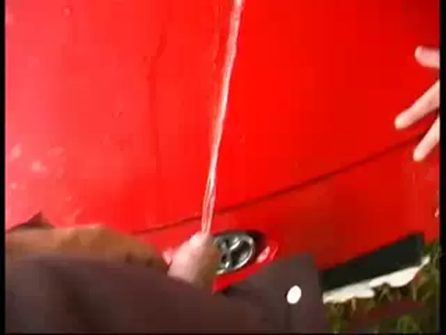 Shitlover Scene
