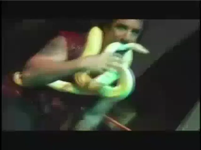 American Woman Blowjob Hardcore Foot Fetish Other