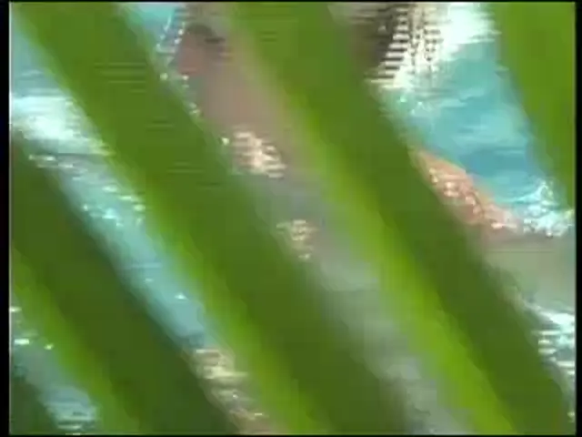 Hidden Cam Voyeur Scene