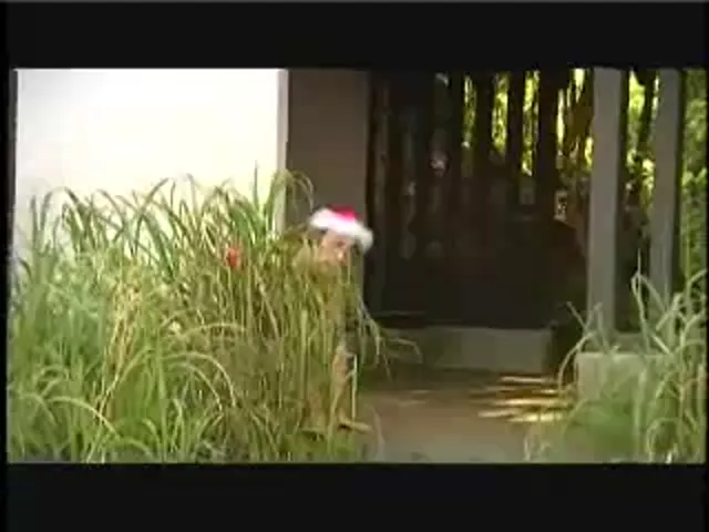 Asian Woman Blowjob Hardcore JAV