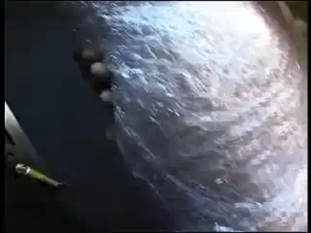 European Woman Blowjob Hardcore Deep throating Domination/SM