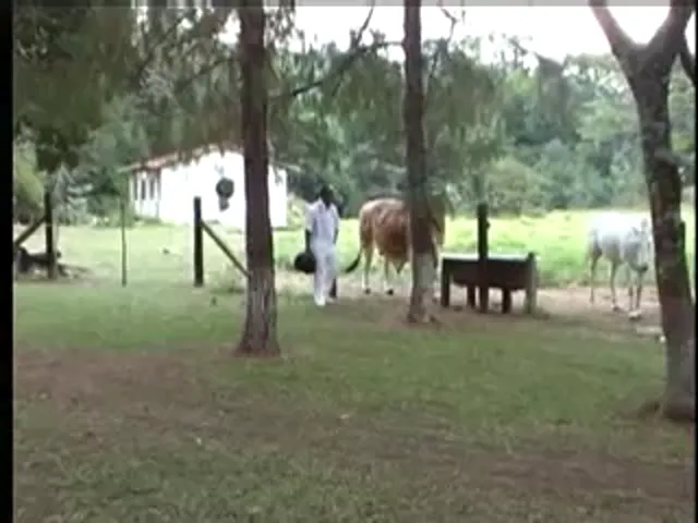 Gay Scene