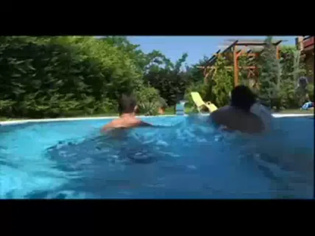 Gay Scene