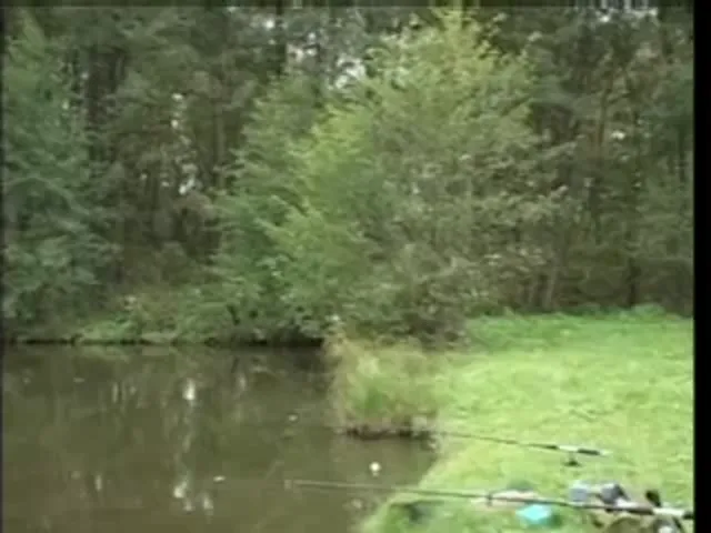 Gay Scene