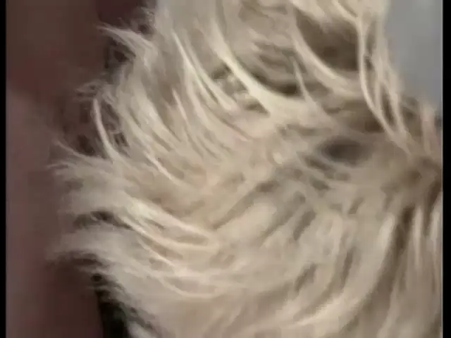 German Woman Transsexual