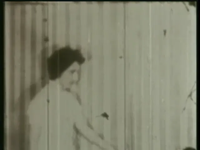 European Woman Classic Vintage