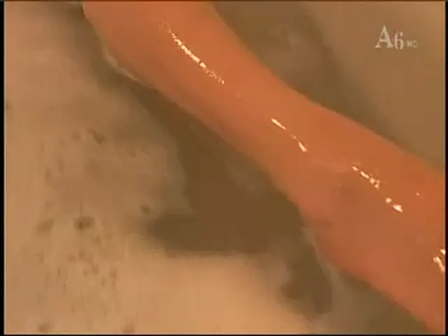 Asian Woman Blowjob Hardcore Amateur Handjob