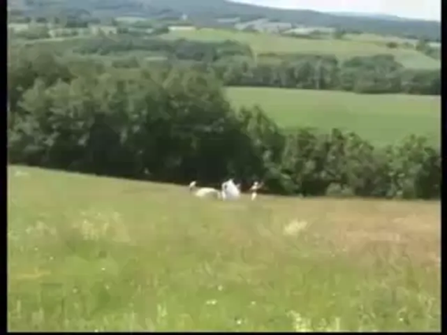 German Woman Gay Scene