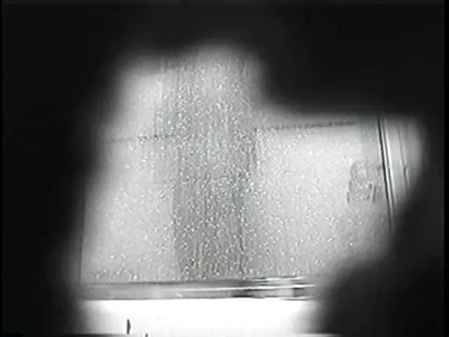 Hidden Cam Voyeur Scene