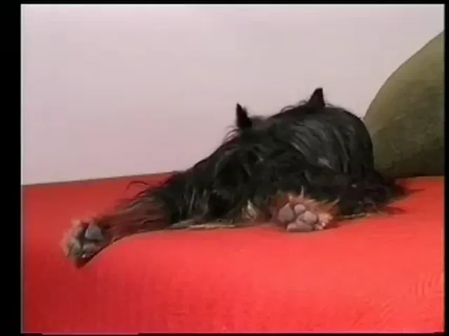 Masturbation Scene