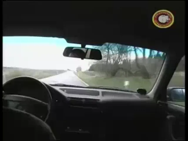 Barely Legal European Amateur Handjob