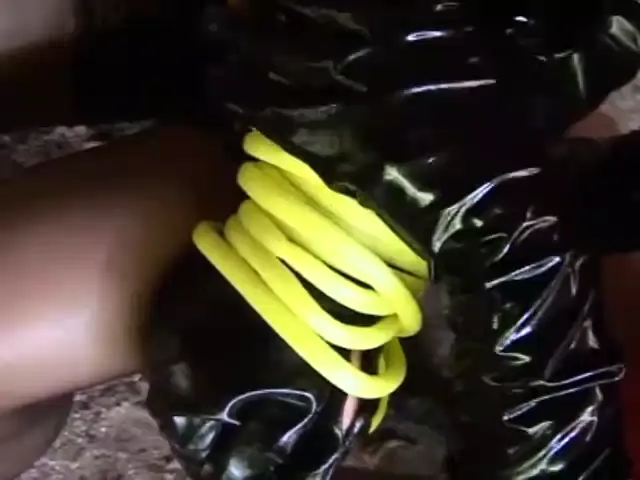 European Woman Blowjob Hardcore Domination/SM Fetish