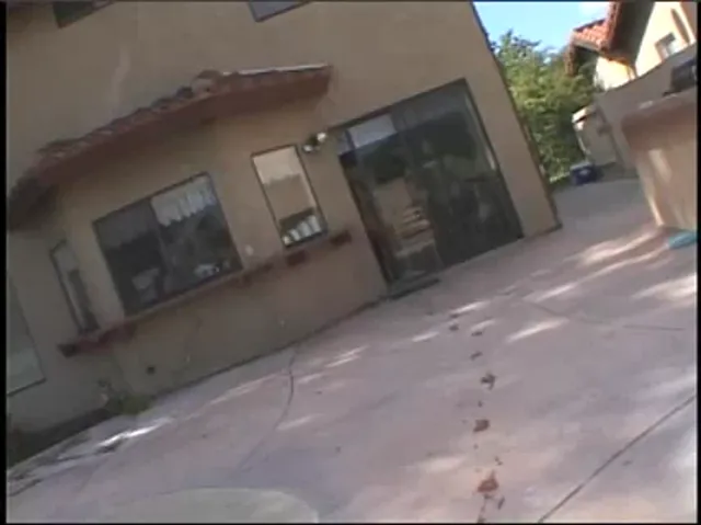 American Woman Blowjob Hardcore