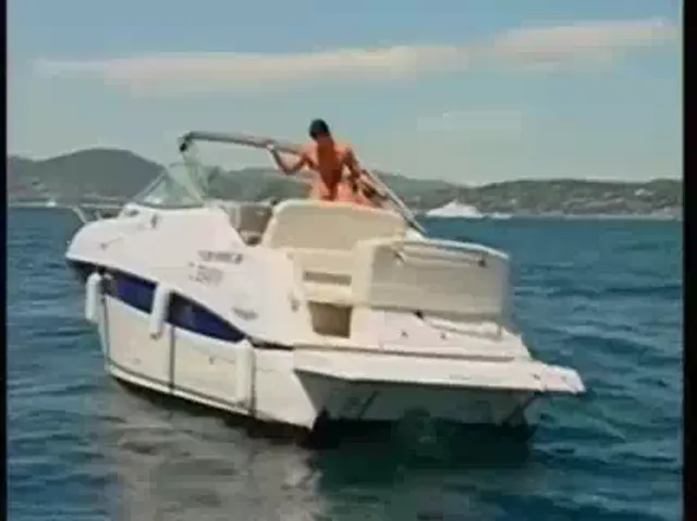 Gay Scene