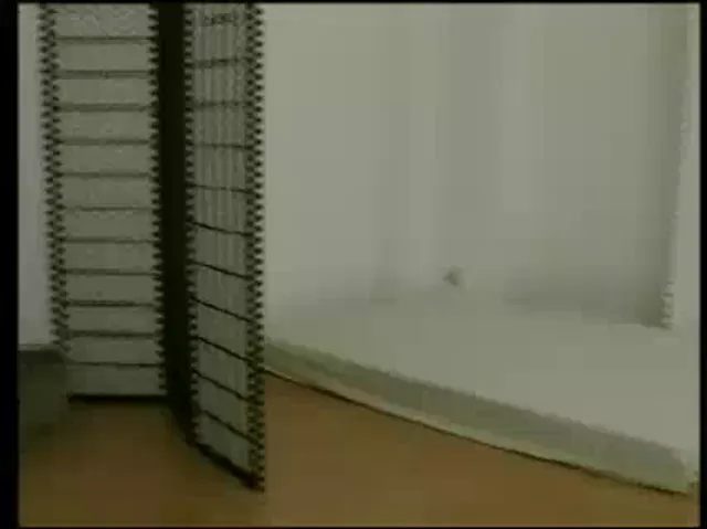 Barely Legal European Blowjob Hardcore