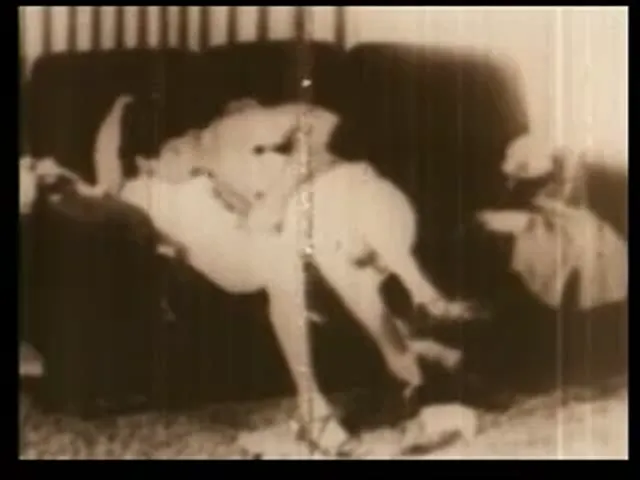 European Woman Blowjob Hardcore Classic Vintage